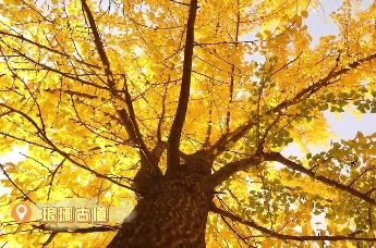 滁山与我最多情｜秋意正浓时，一起来寻找滁州最美打卡地吧～