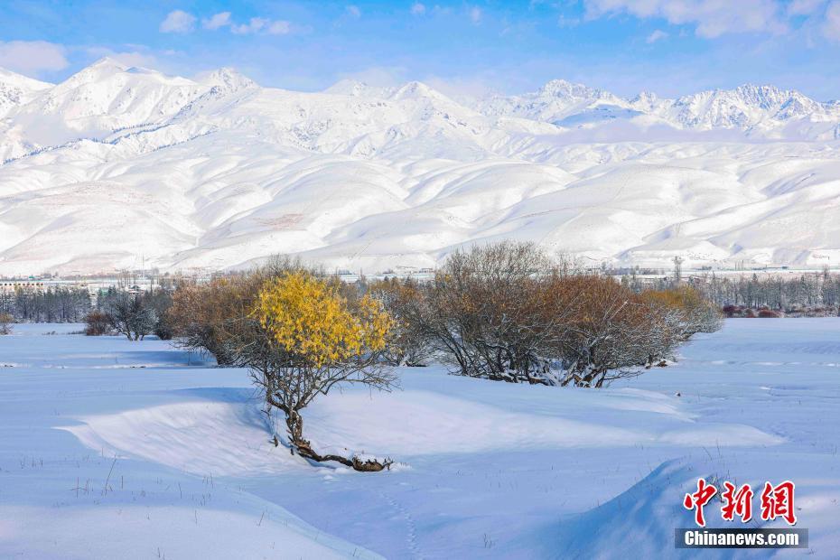 新疆那拉提草原银装素裹 宛如童话世界