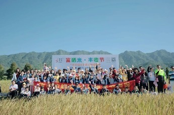 “禾”你一起“稻”南山|2023南山镇稻田音乐节圆满落幕