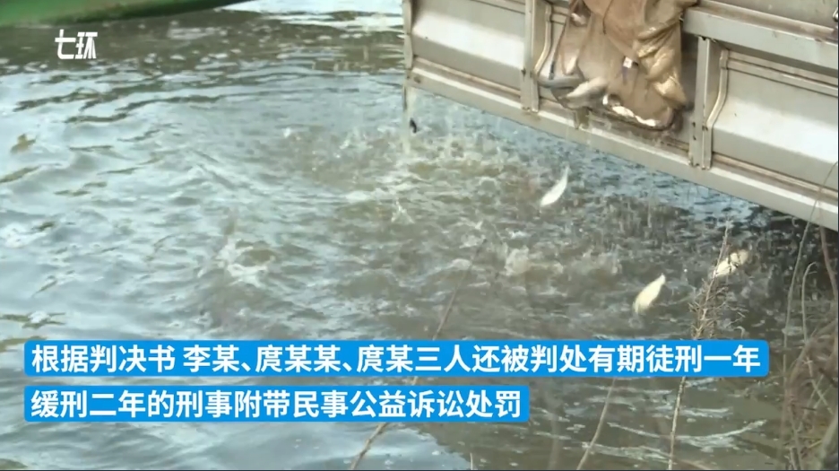 非法捕捞水产品 三名男子被判投放四万尾鱼苗至汉江“补过”