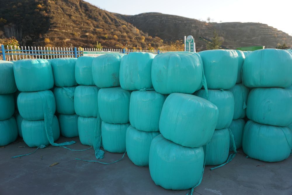 绿丰草产业合作社内的饲料包 新华社记者 贾钊 摄