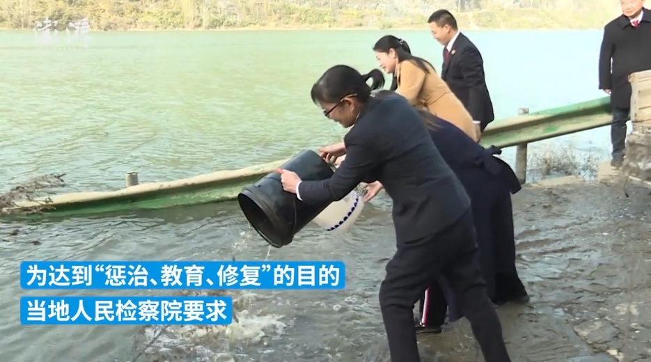 非法捕捞水产品 三名男子被判投放四万尾鱼苗至汉江“补过”