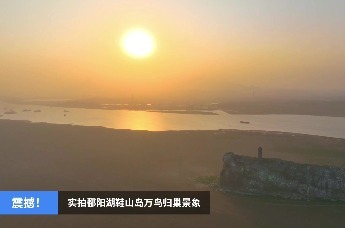 实拍鄱阳湖鞋山岛万鸟归巢景象