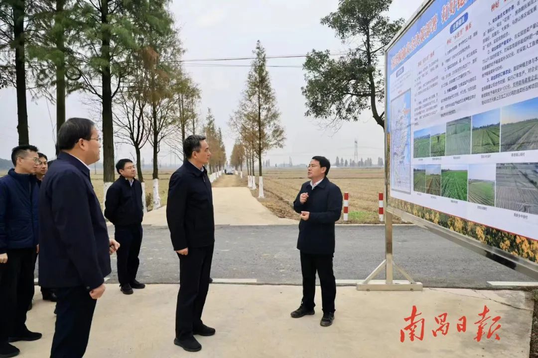 走進田間地頭 李紅軍在南昌縣調研冬種油菜工作鳳凰網江西_鳳凰網