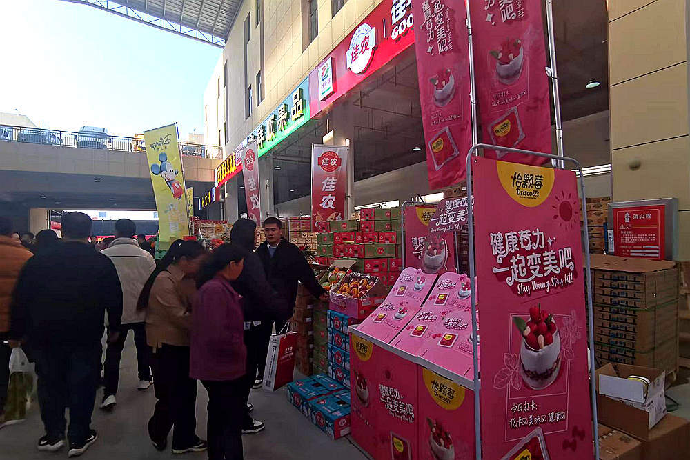 重构供应链体系 湖北孝感首衡城•华中国际食品产业新城启动
