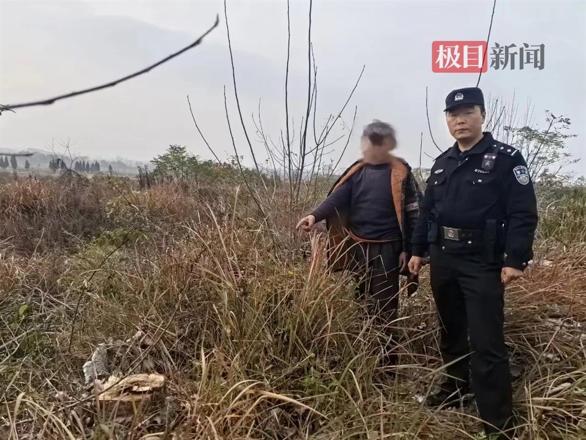 湖北浠水一男子盗伐他人树木卖钱被拘留凤凰网湖北_凤凰网