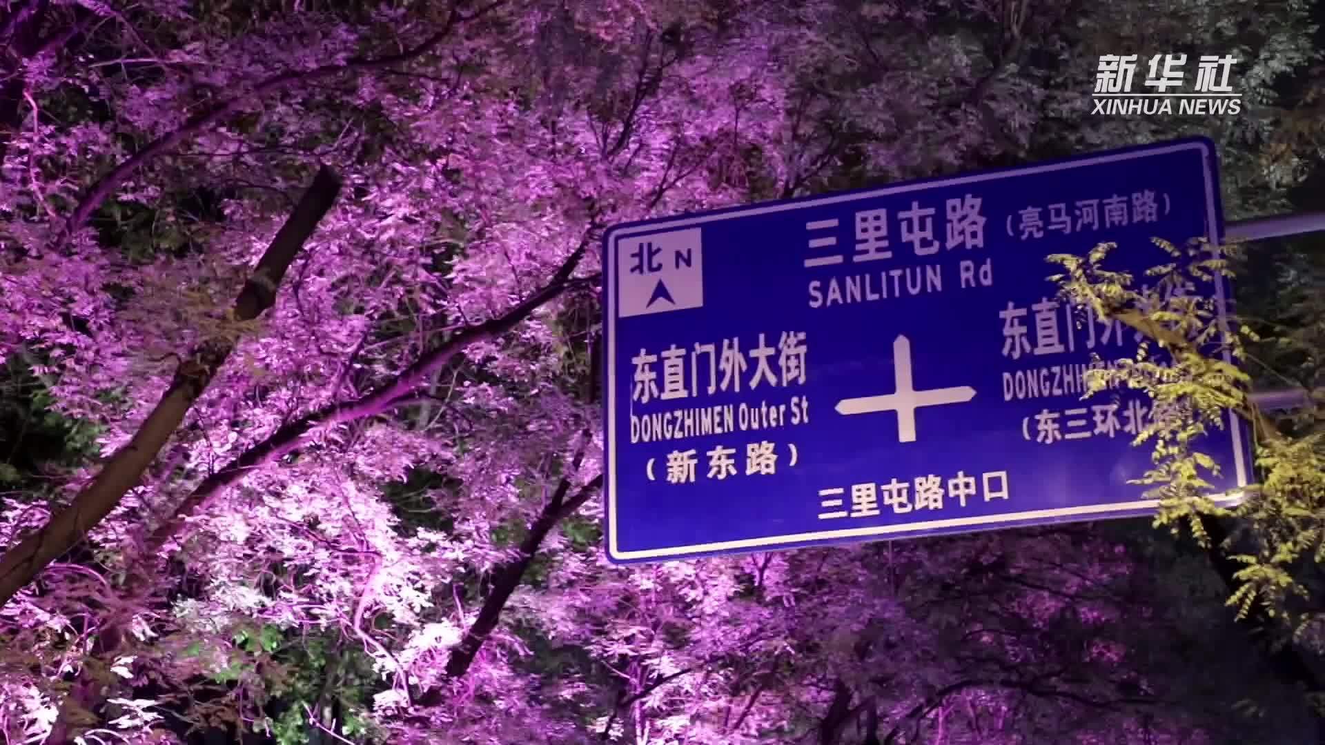 北京：漫步花影路 畅享灯光秀