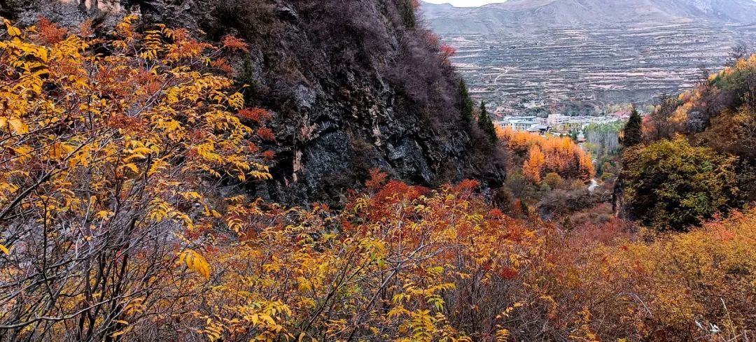 初冬雪雾锁禅林 人间仙境贵清山