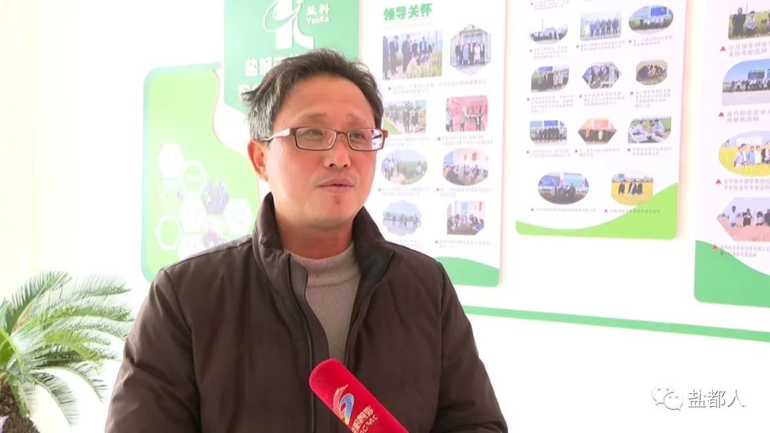 新时代“最美盐都人” | 陈元洲：所有坚守，只为一粒“种子”凤凰网江苏_凤凰网