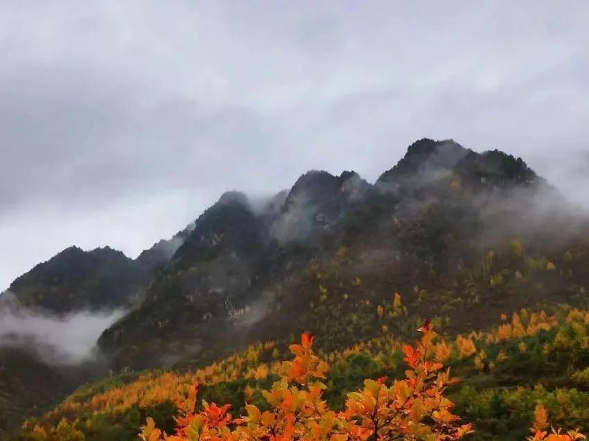 初冬雪雾锁禅林 人间仙境贵清山