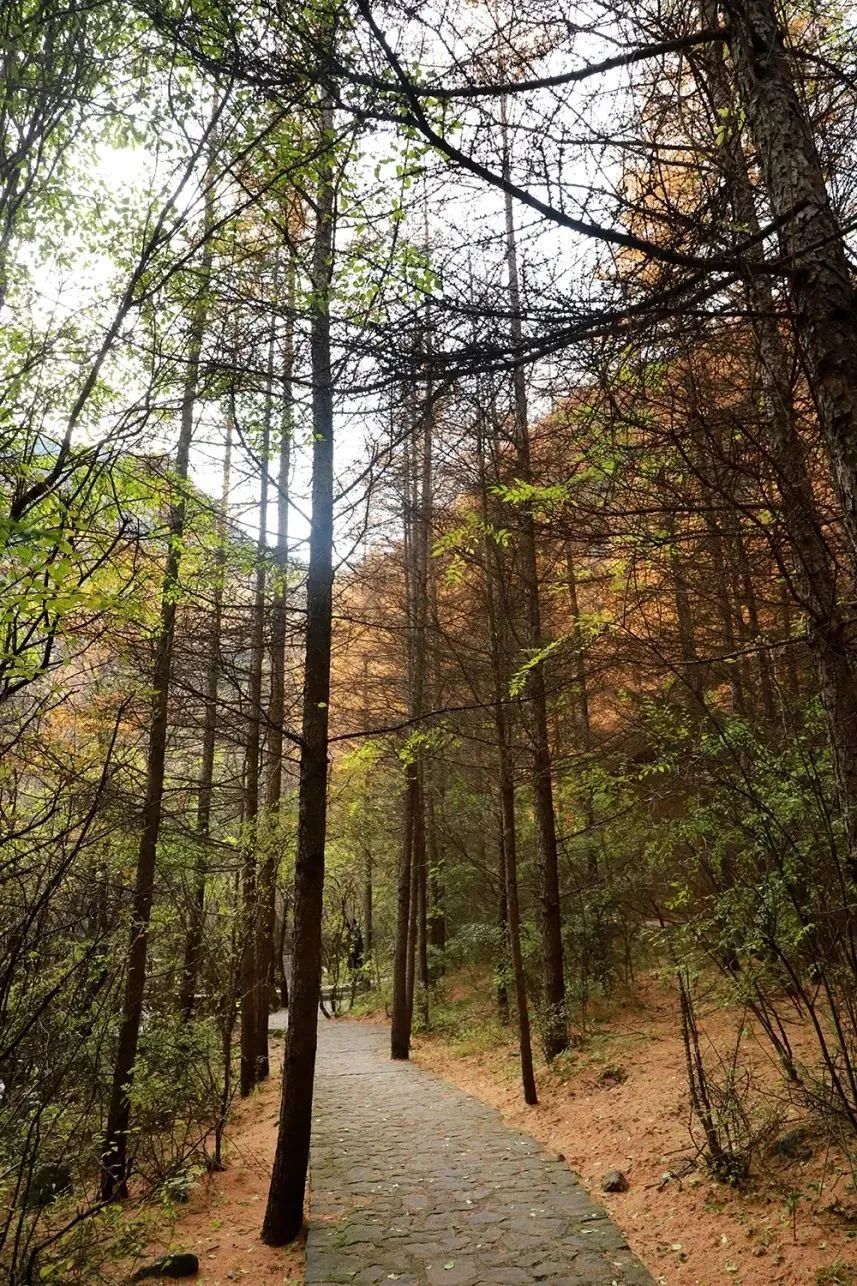 初冬雪雾锁禅林 人间仙境贵清山