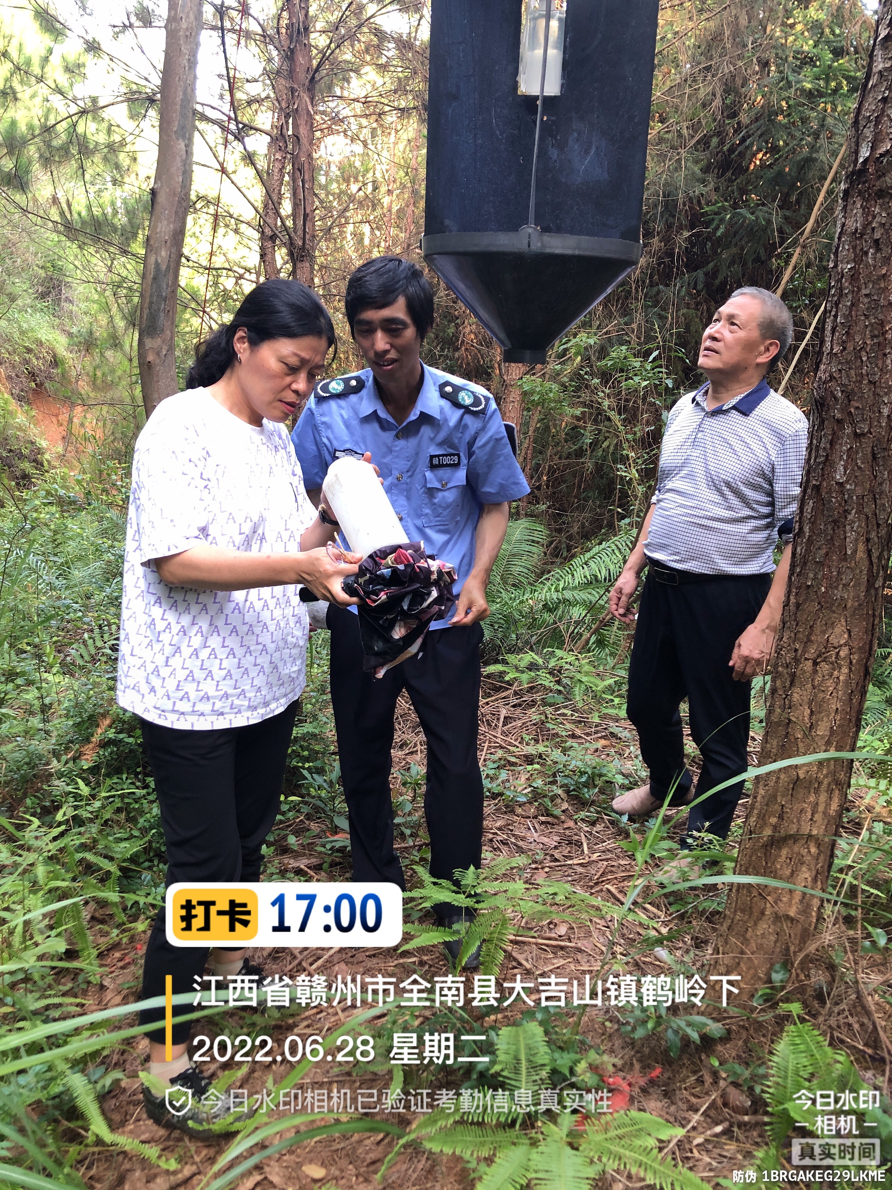 罗惠文(左一)指导基层护林员调查诱捕器诱捕松褐天牛情况