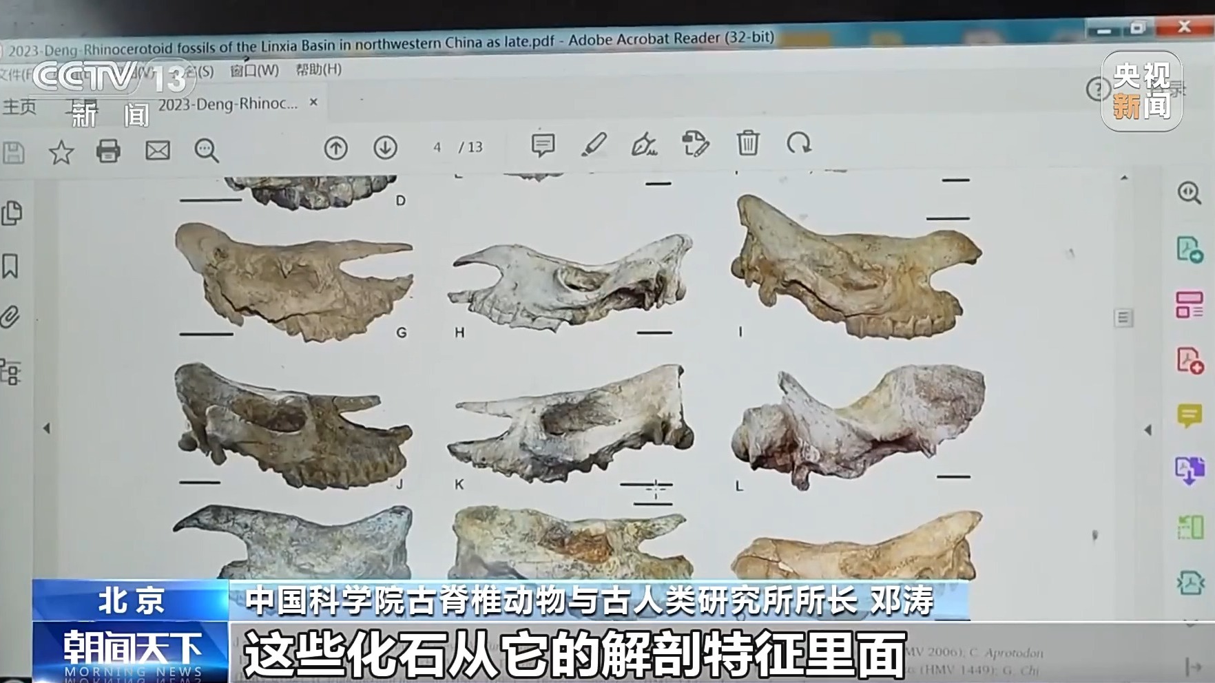 最新研究：非洲黑犀起源于甘肃　千万年前迁徙路线揭秘