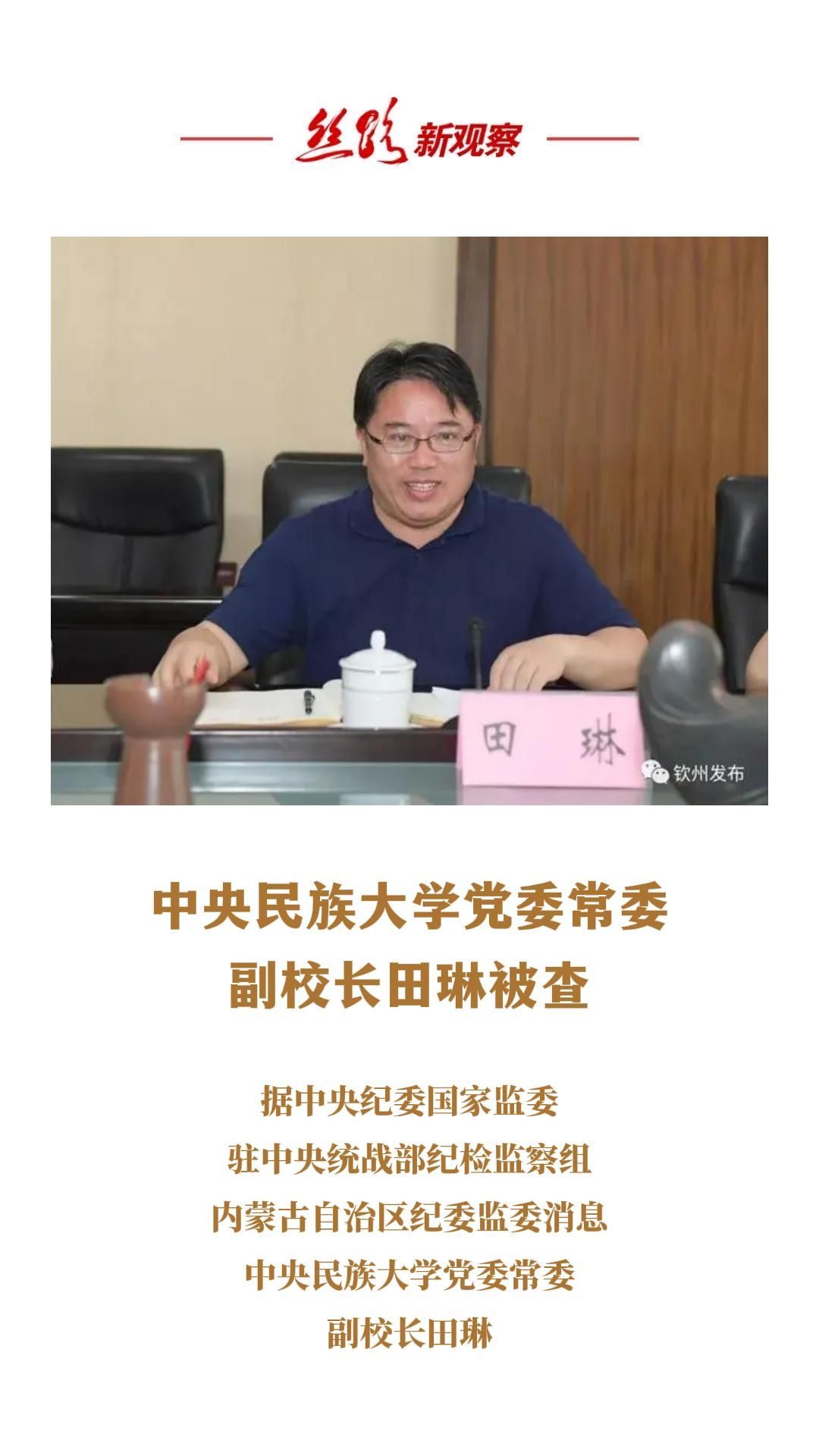 中央民族大学党委常委副校长田琳被查违纪违法