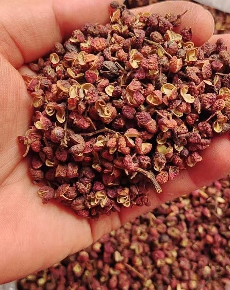 正常生长的花椒都是裂口的,内部呈黄白颜色且油光发亮.李建摄