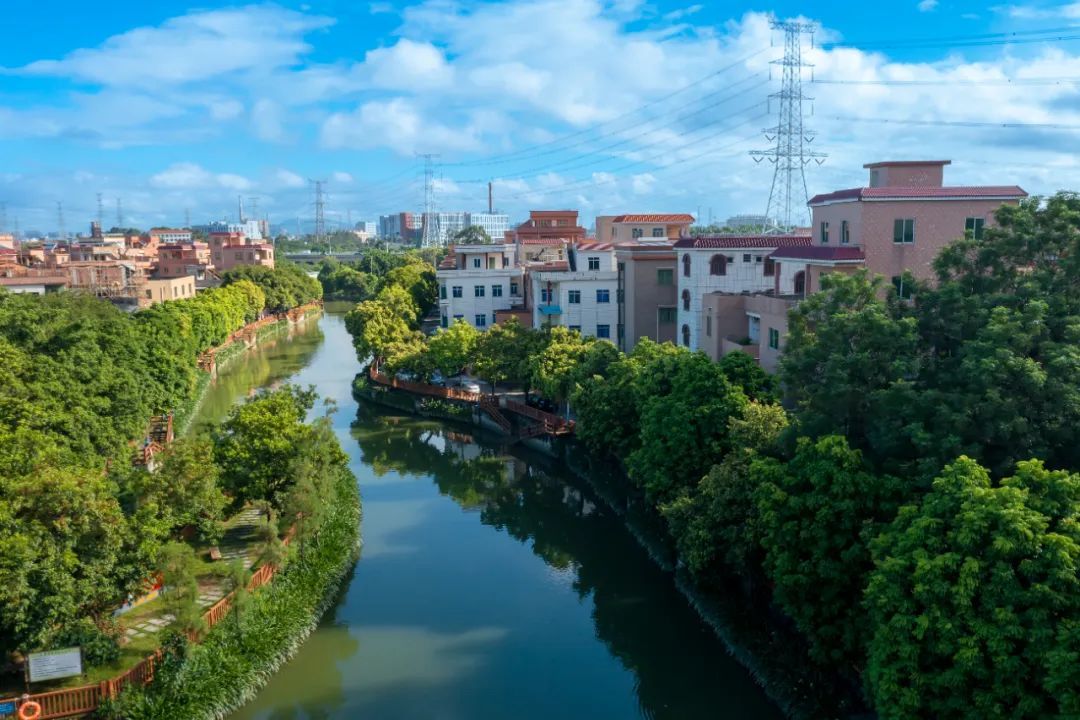 望牛墩积极做好水文章助推百千万工程高质量发展