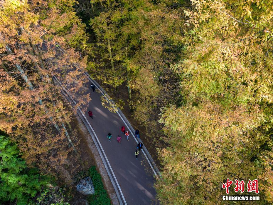 初冬重庆山王坪喀斯特国家生态公园层林尽染 风景如画