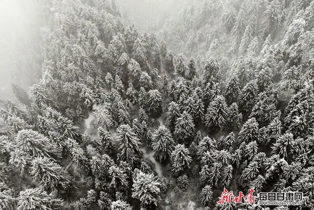 初冬雪雾锁禅林 人间仙境贵清山