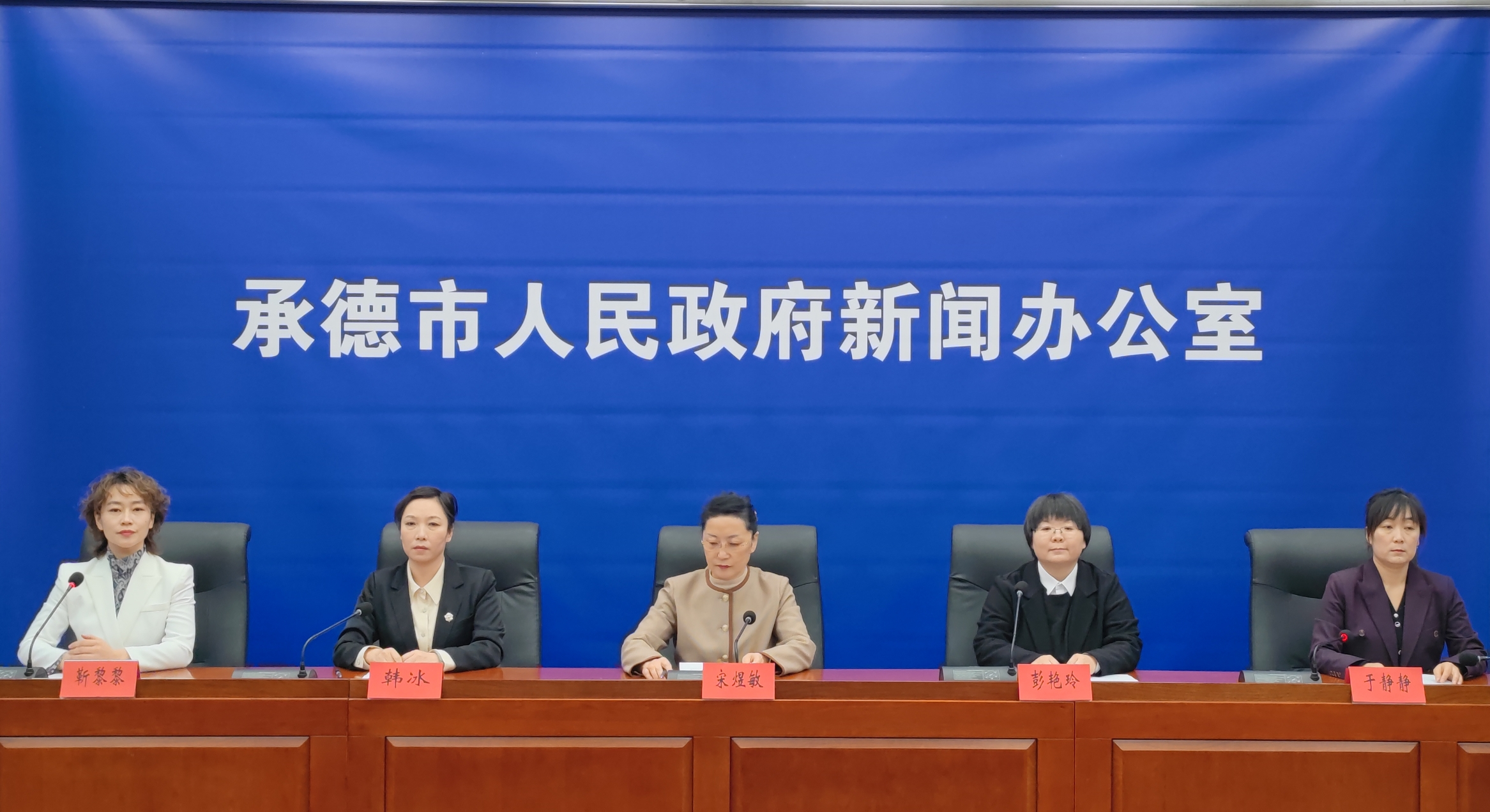 发布会 王占平摄