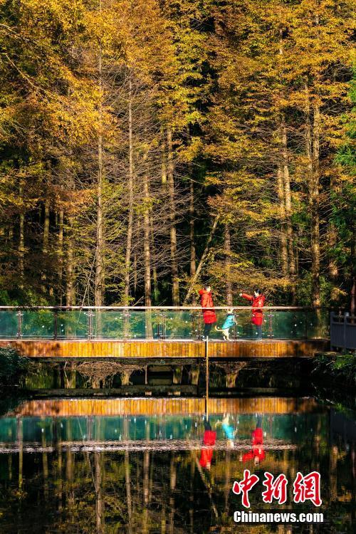 初冬重庆山王坪喀斯特国家生态公园层林尽染风景如画