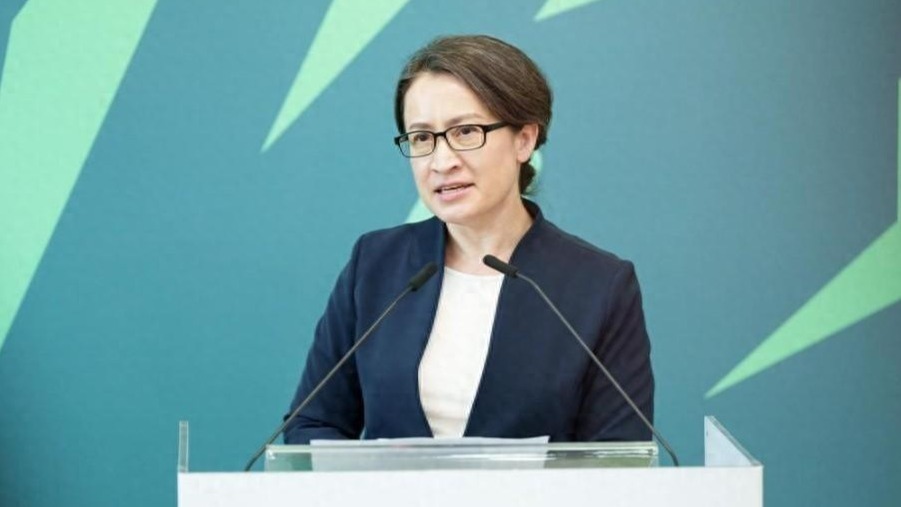 不干正事台名嘴萧美琴蔡英文只会撸猫