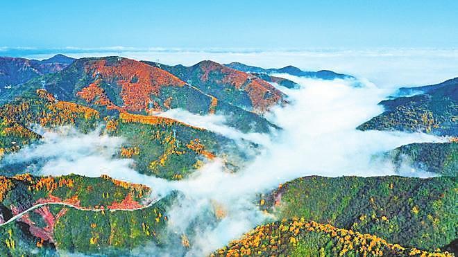 陇山（本版图片均为资料图）
