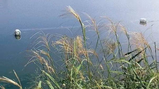 22岁中国留学生在韩国一水库身亡