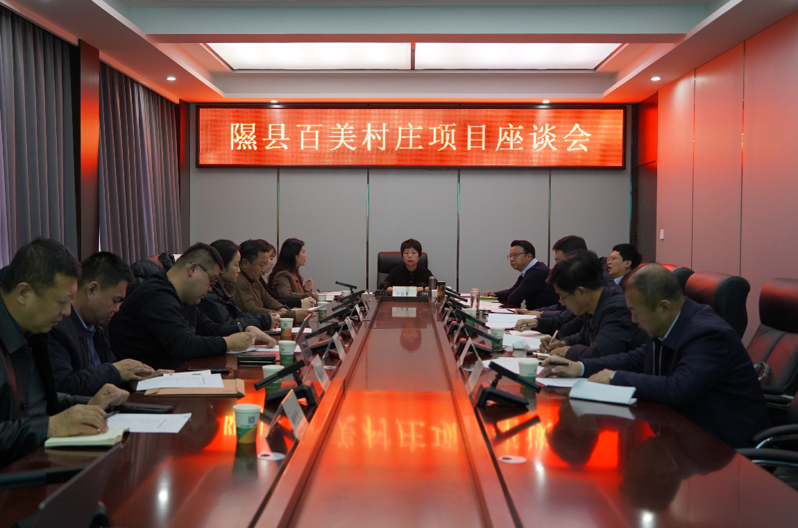 图为隰县百美村庄项目座谈会现场