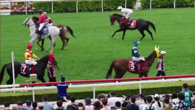 马照跑的独特文化，打造出香港世界一流的马术比赛中心