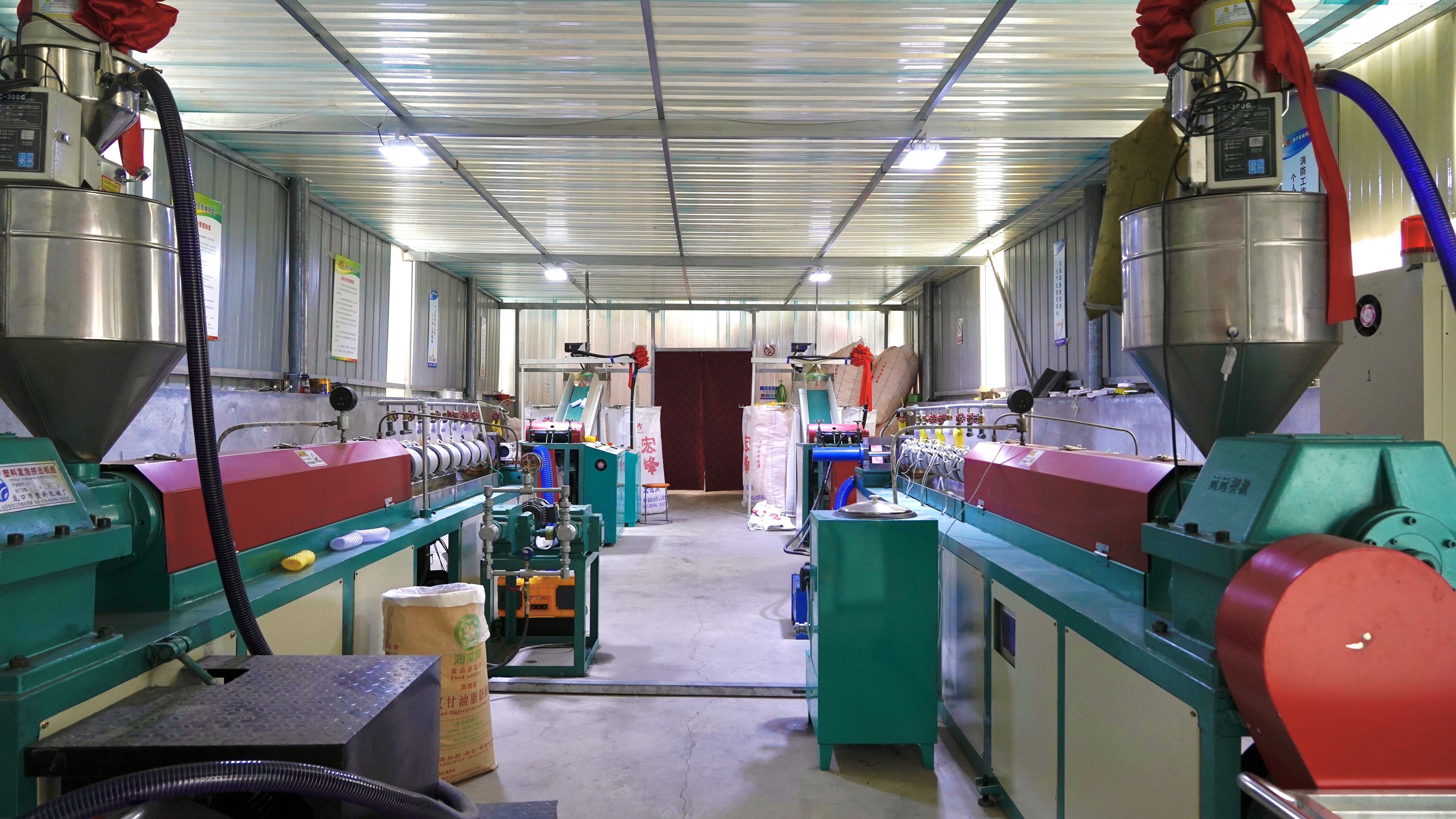 静宁农户借鸡躺赚：下蛋“公”鸡致富路上“战斗机”