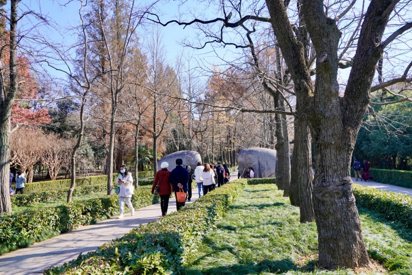 石象路景色宜人。