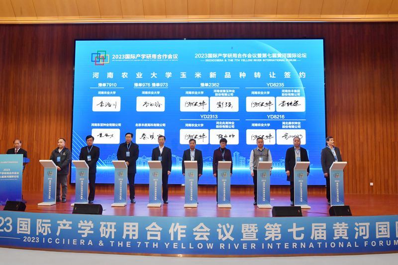 河南农业大学玉米新品种转让签约仪式现场