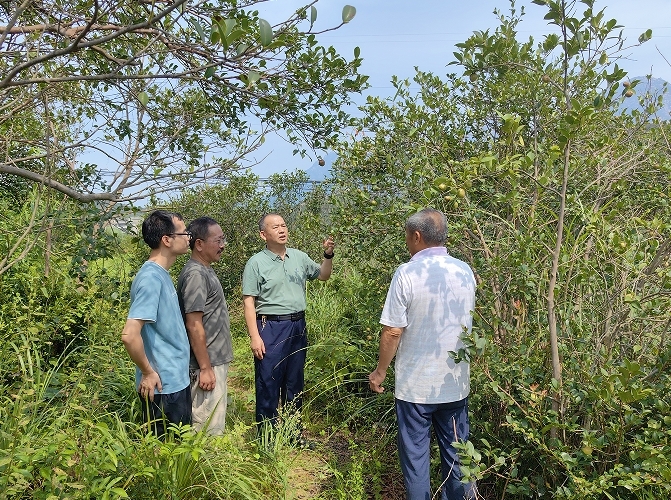 朱恒（右二）现场指导林农油茶病虫害防治、修剪技术