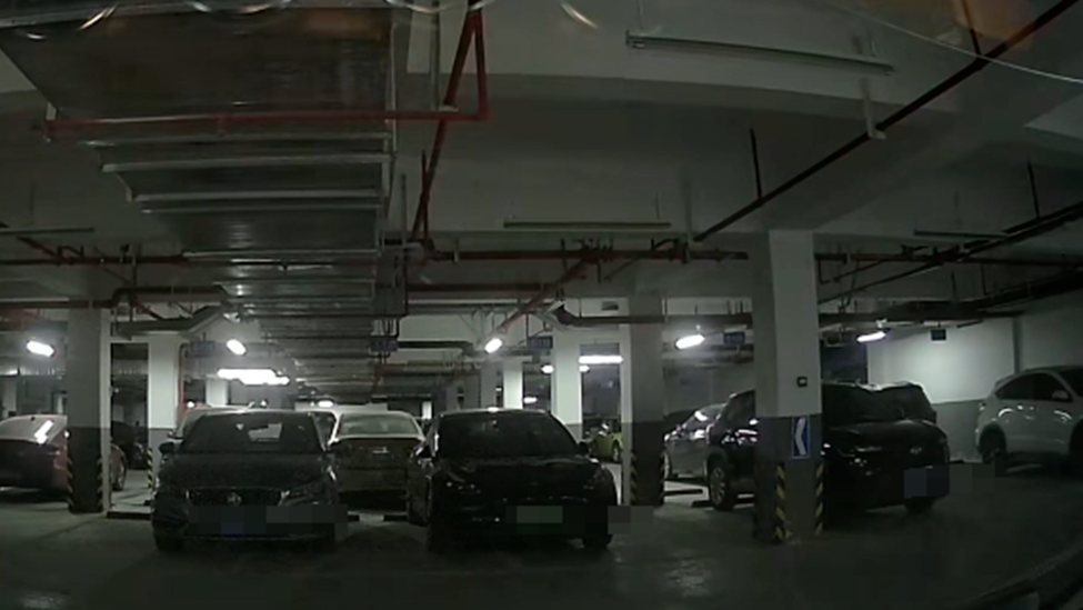 车主忘锁车门，情侣盗窃得手后激动告白，还兴奋拍照留念