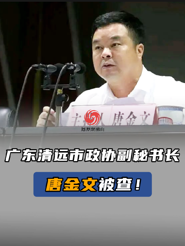 广东清远市政协副秘书长唐金文被查纪律审查和监察调查正风肃纪最新