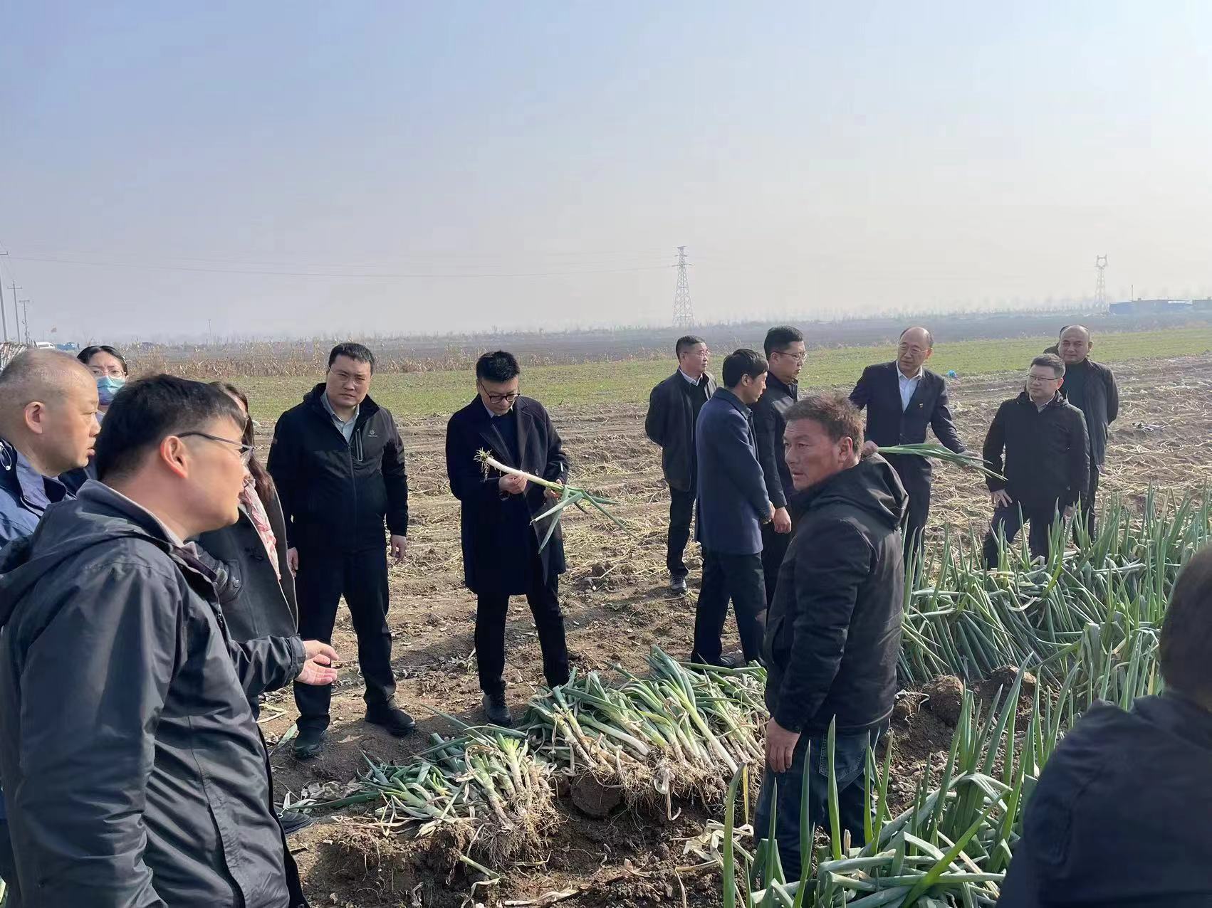 政企合力助菜农丰产又丰收 青岛市农业农村局、青岛市乡村振兴局携手金融机构开展“爱心助农 促销增收”活动