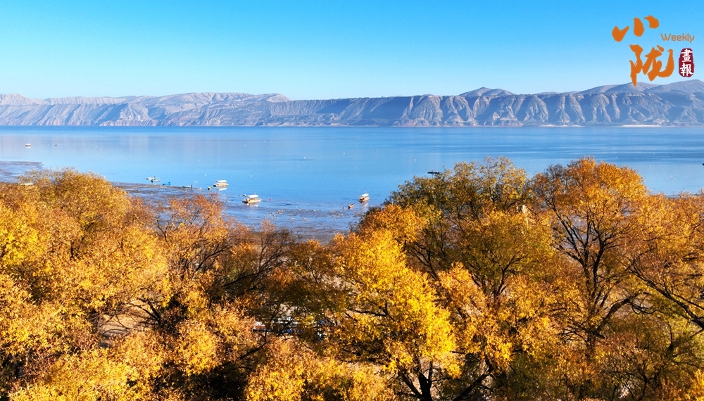 永靖太极岛:深藏大山中的塞上江南