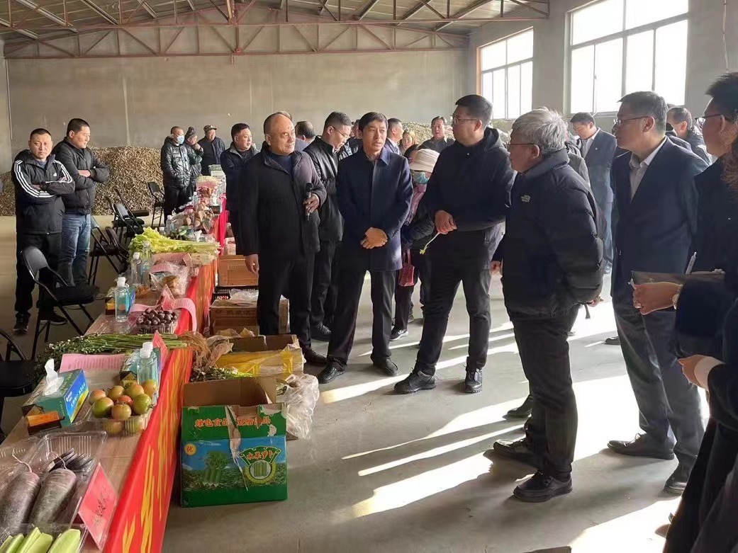 政企合力助菜农丰产又丰收 青岛市农业农村局、青岛市乡村振兴局携手金融机构开展“爱心助农 促销增收”活动