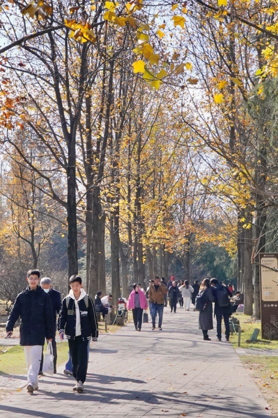 中山陵景区处处皆可入画。