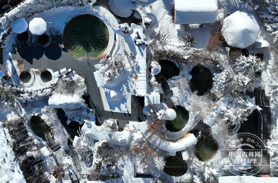 DJI_0481.jpg