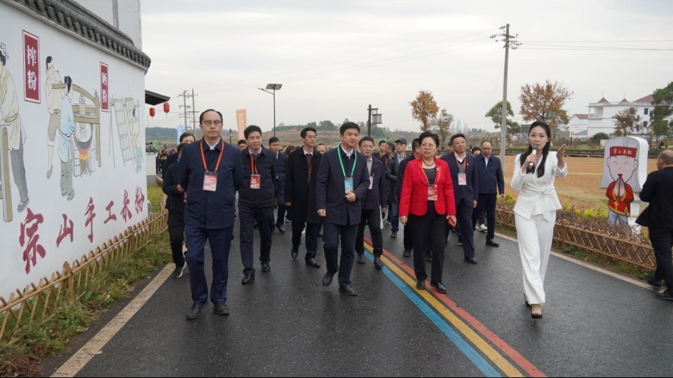 与会嘉宾在宗山米粉小镇巡展。