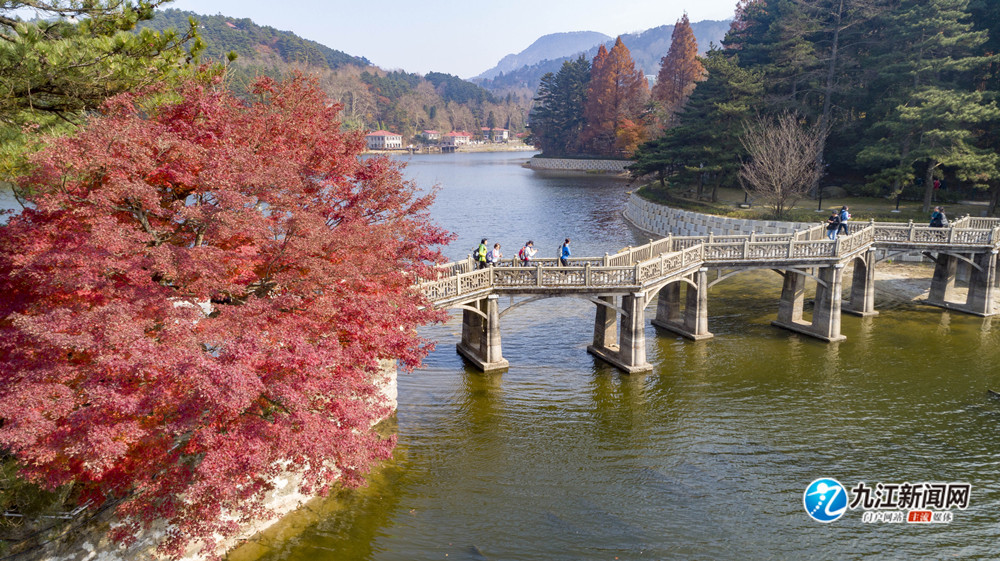 庐山迎来最佳赏枫季（图）