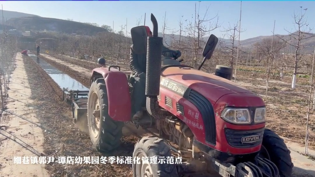 静宁：过个休养生息的冬　期盼来年丰收的季节