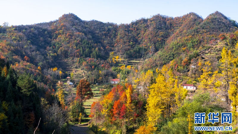 新华网发图为湖北省南漳县李庙镇的山林.