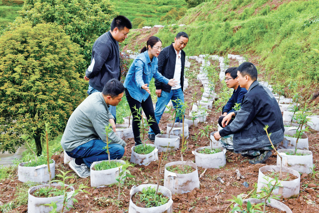 农业人才引育的宁波路径