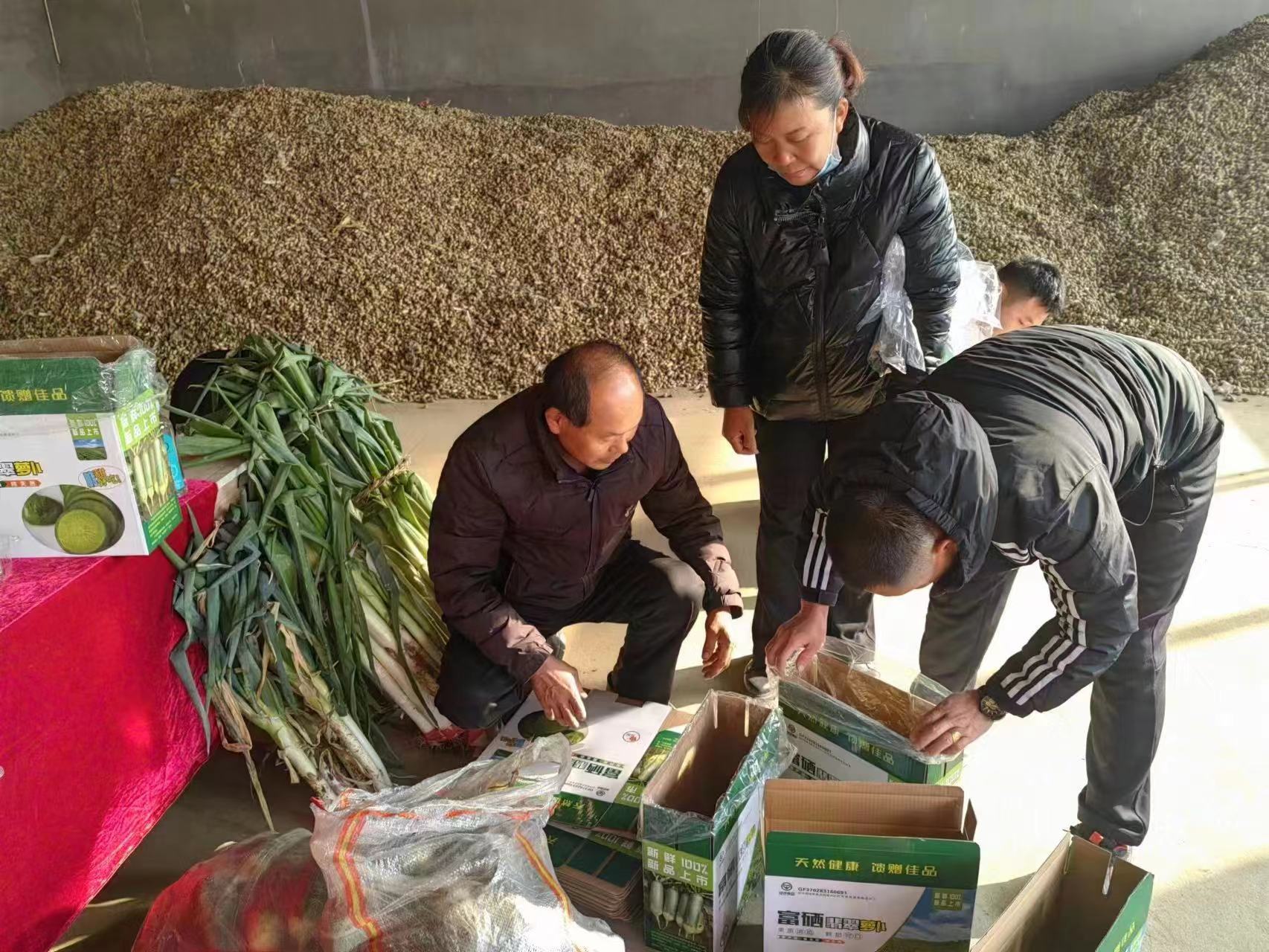 政企合力助菜农丰产又丰收 青岛市农业农村局、青岛市乡村振兴局携手金融机构开展“爱心助农 促销增收”活动