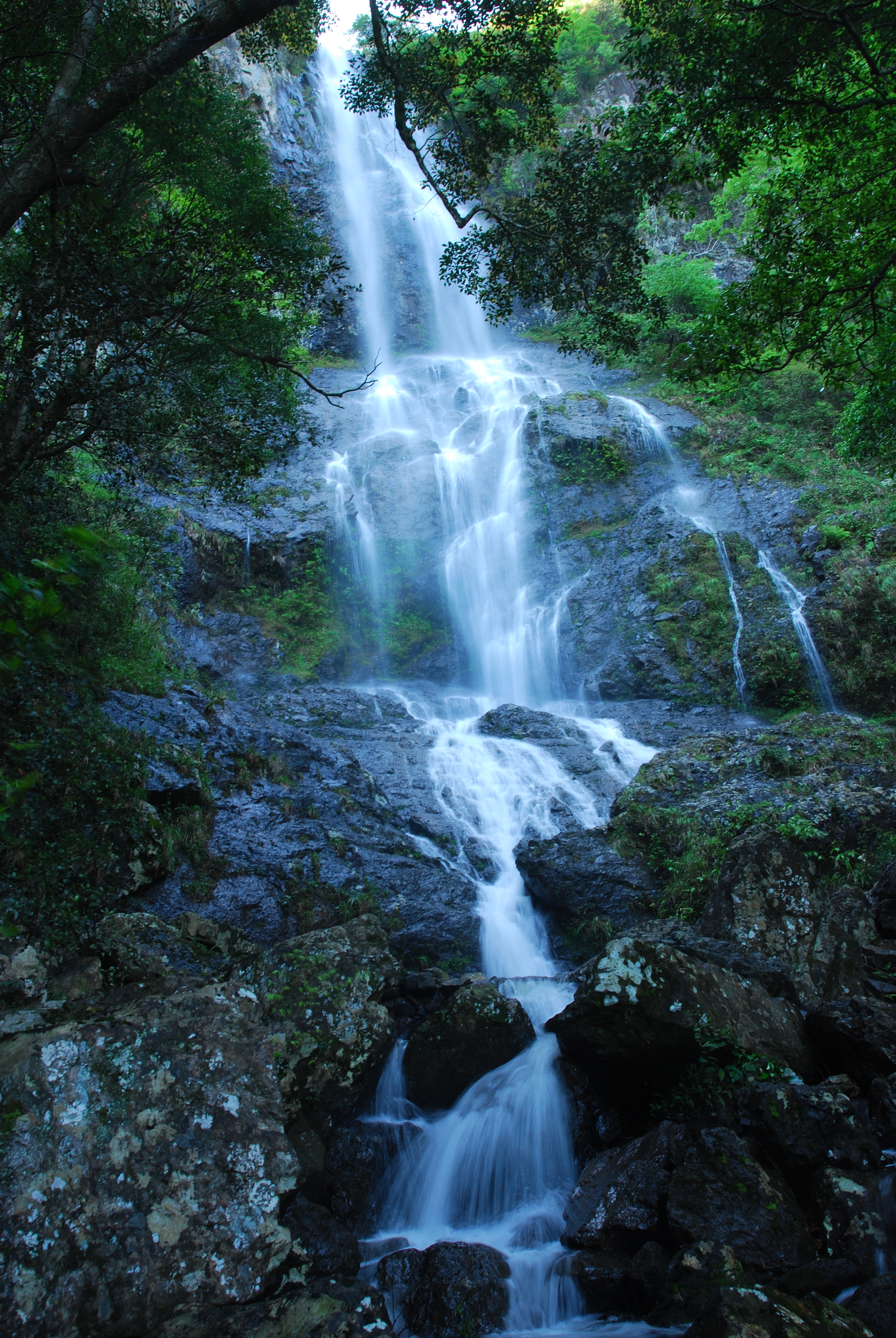 第三届东江源绿色可持续发展论坛在东江源头翡翠县安远举办