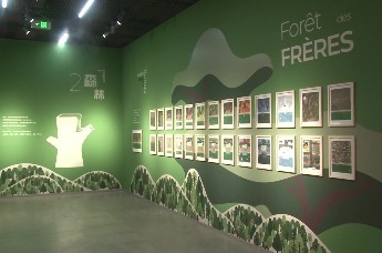 卷起地球·自然艺术季活动在深圳举行