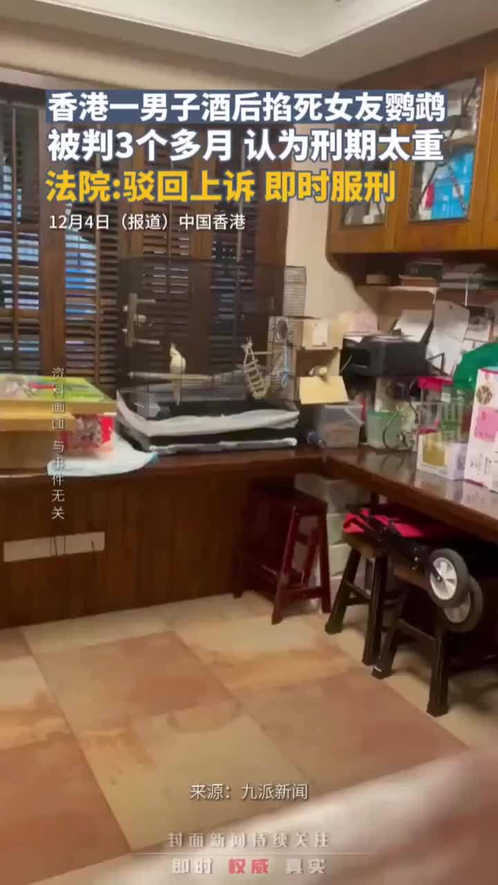 香港一男子酒后掐死女友鹦鹉，被判3个多月认为刑期太重，法院：驳回上诉，即时服刑