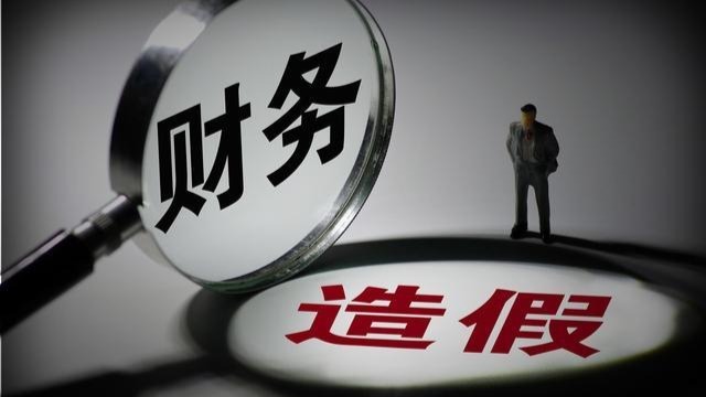 A股又现财务造假案!上市第一年财报就造假,招股书承诺没有虚假记载_凤凰网